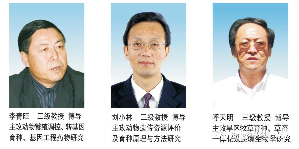 土豆烧牛肉最正宗做法视频,土豆烧牛肉为什么牛肉很硬