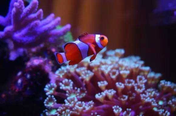 玩的真溜，三千玩出了三万的水平！