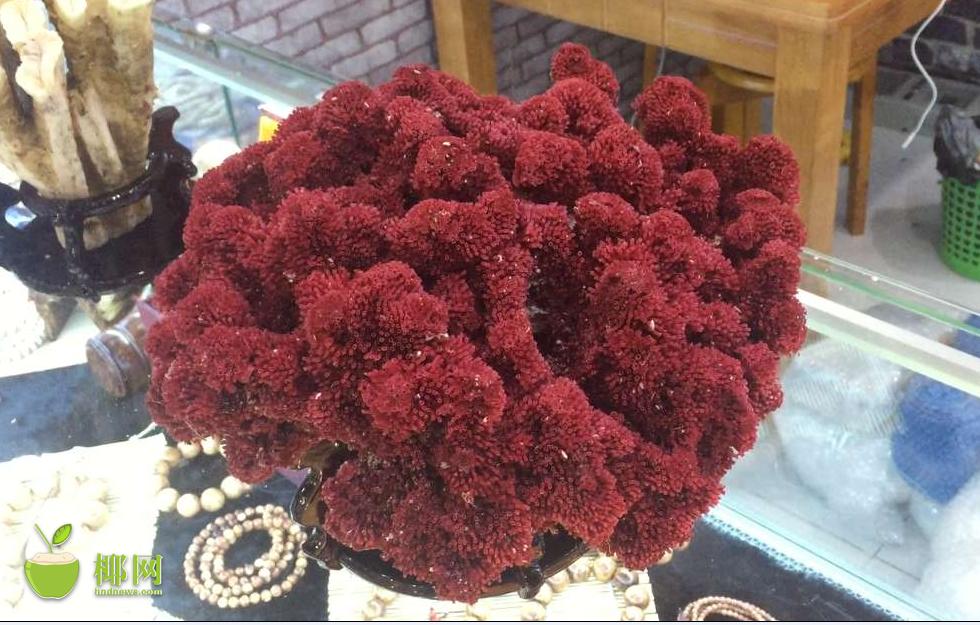 海口清仓处理大甩卖,海口货品清仓甩卖