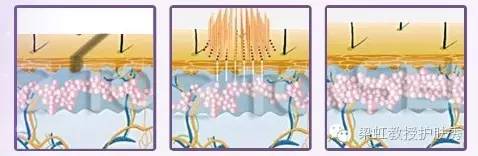 梁虹护肤品视频大全,梁虹教授护肤秀