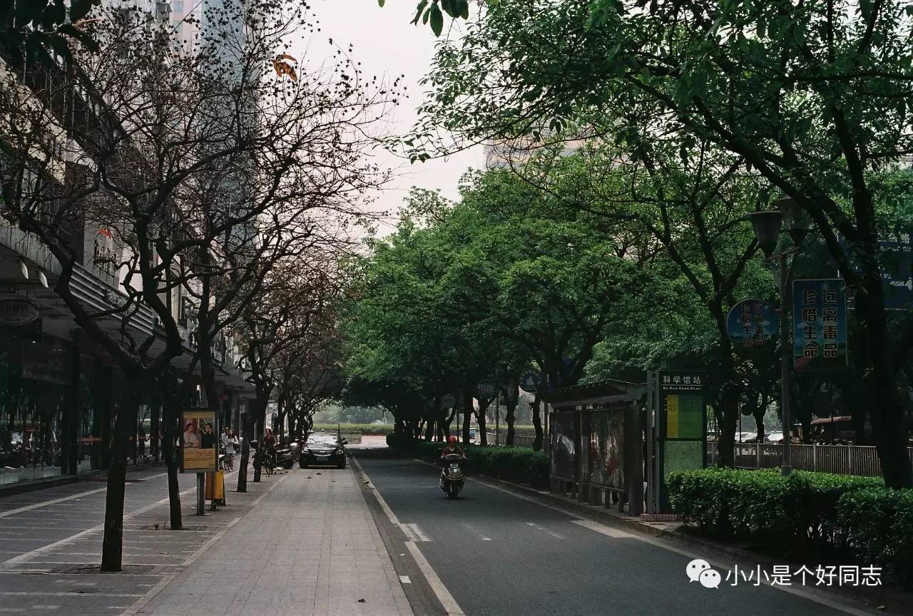 城事电影完整版,城事简介