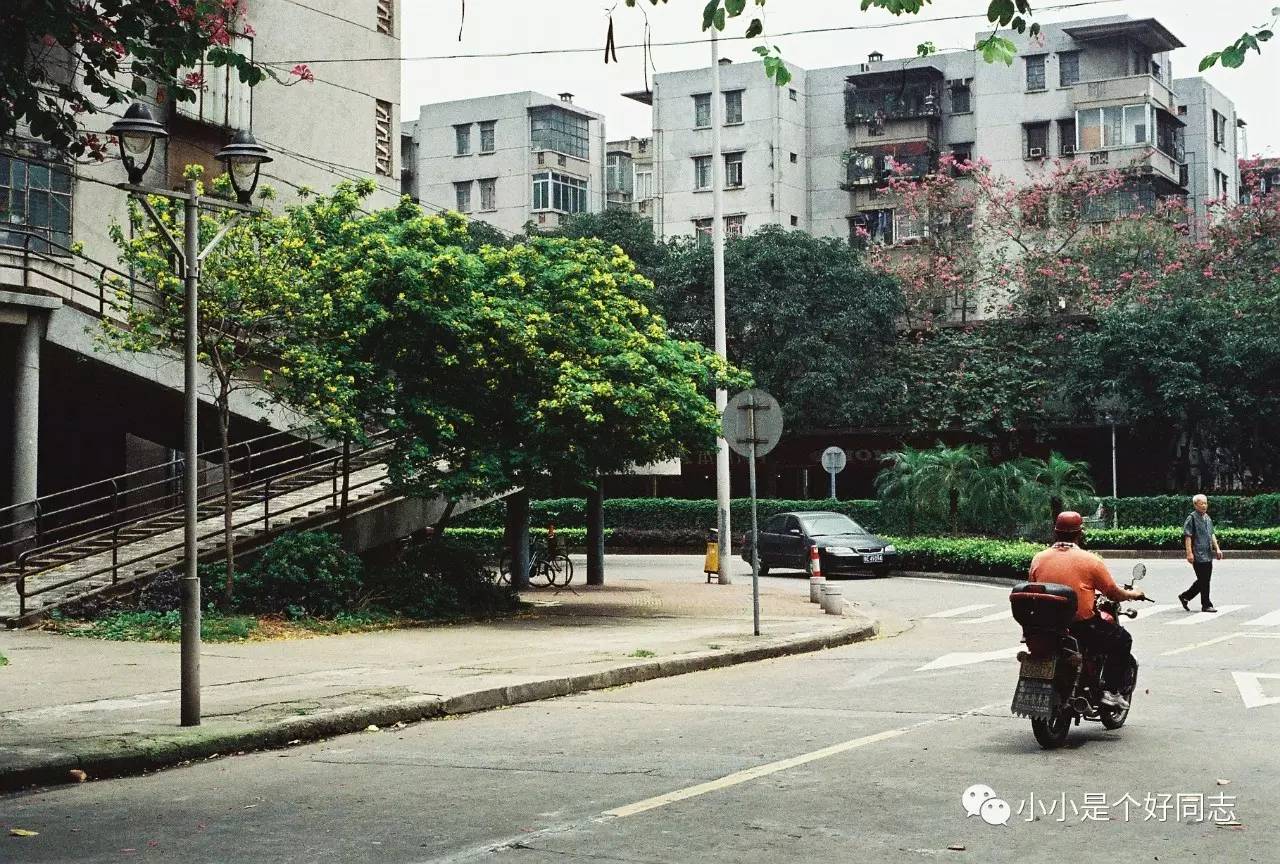 城事电影完整版,城事简介