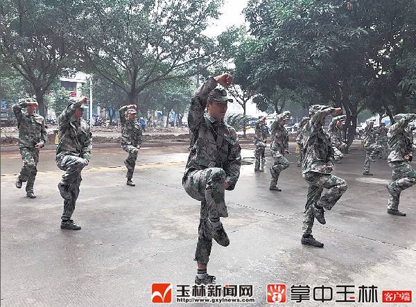 「新闻下午茶」远光灯又惹祸？玉东大道一白色轿车失控撞烂10余节护栏，致使……