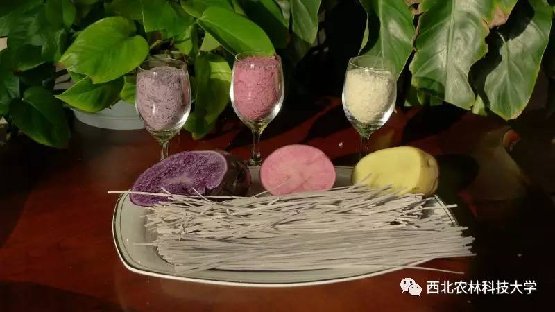 土豆烧牛肉最正宗做法视频,土豆烧牛肉为什么牛肉很硬