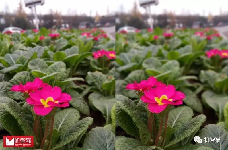 金立s9型号是什么,金立s9玩吃鸡卡吗