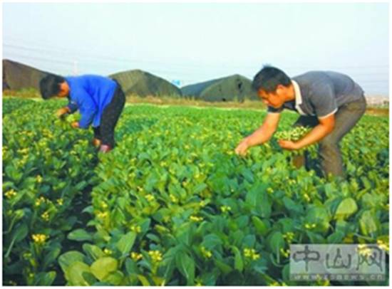 土地使用权到期房子拆迁有补偿吗,产权房子到期后如何处置
