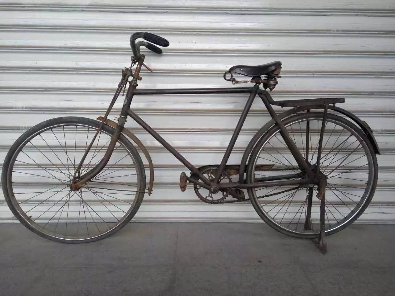 山东猪坚强,猪坚强512