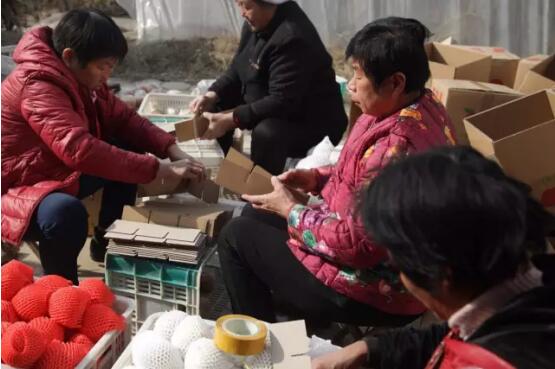 菜篮子电商,聊城莘县电商基地