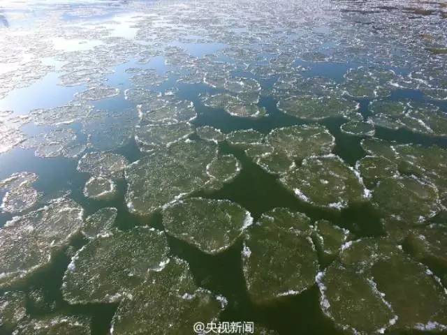 鲜阅读丨新车车主要关注明年起我市施行机动车新标