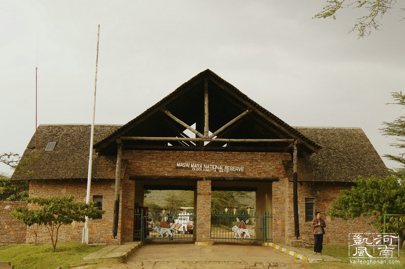 2021年东非动物大迁徙全程直播,东非草原野生动物大迁徙