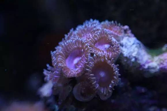 玩的真溜，三千玩出了三万的水平！