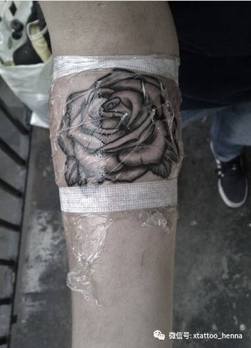 纹身后正确的保养方法,纹身之后的保养方法