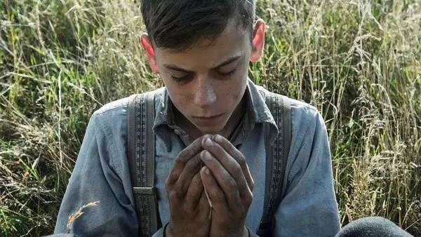 刷完这张片单，一整年的装逼资本都有了（快收藏）