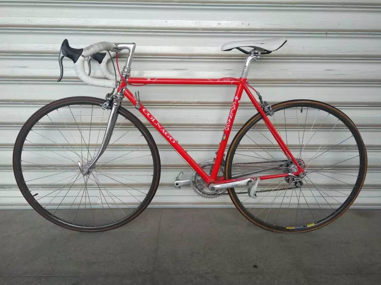 山东猪坚强,猪坚强512