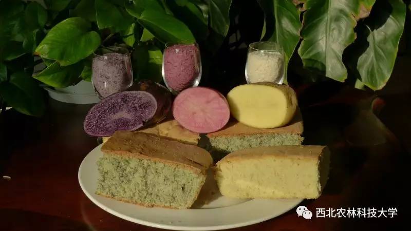 土豆烧牛肉最正宗做法视频,土豆烧牛肉为什么牛肉很硬