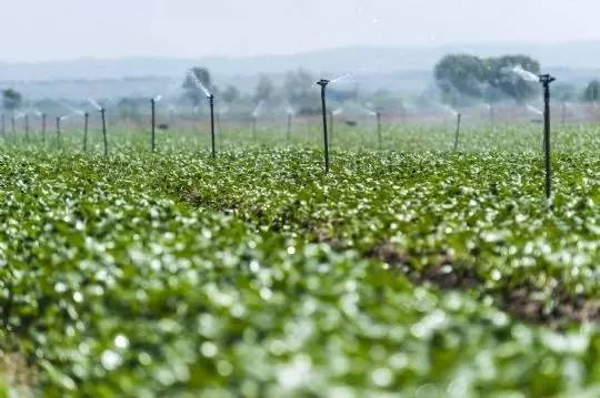 西吉电商创业,西吉扶贫产业园