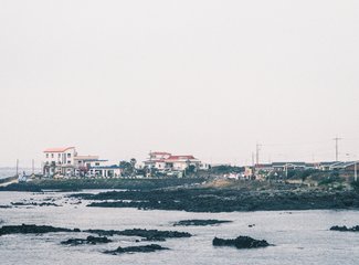济州岛游记记录,济州岛的春天旅行日记