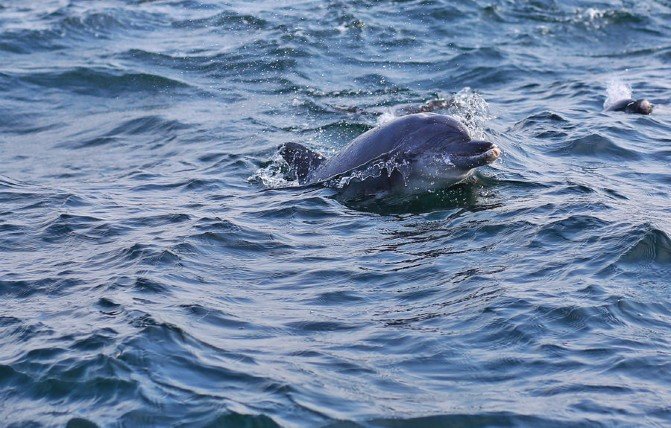 日本九州旅行游记,7天物语
