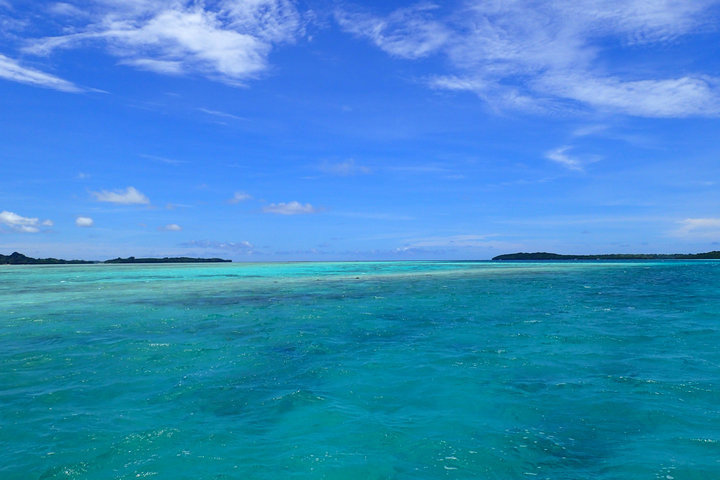 帕劳怎么玩,我来教你怎么玩打野