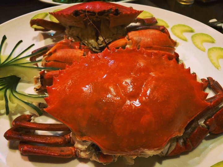 帕劳怎么玩,我来教你怎么玩打野