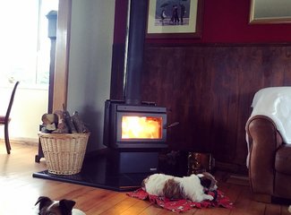 新西兰南岛顺时针逆时针,新西兰四个人游玩大概多少钱