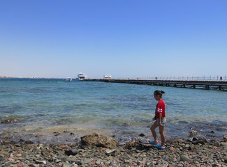 二进埃及，红海我怎能不爱你