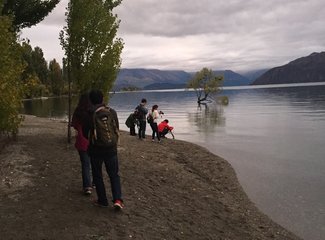 新西兰房车15天攻略,房车旅行记新西兰