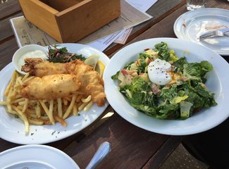 新西兰房车15天攻略,房车旅行记新西兰