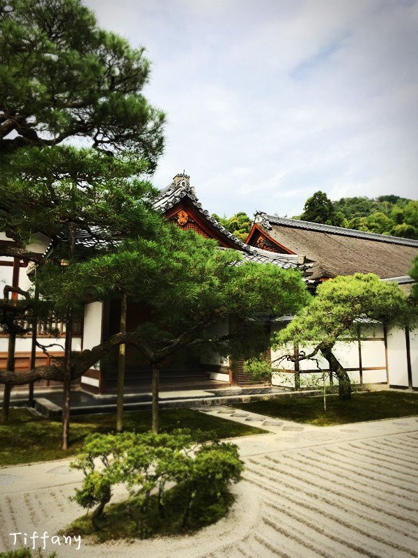 11月京都红叶游记,京都红叶两日游