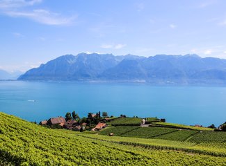 记忆里的那一抹蓝作文,记忆中的那一抹蓝色