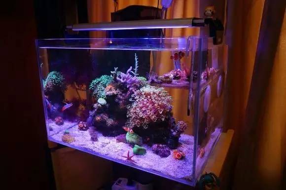 玩的真溜，三千玩出了三万的水平！