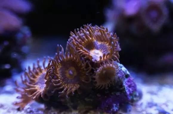 玩的真溜，三千玩出了三万的水平！