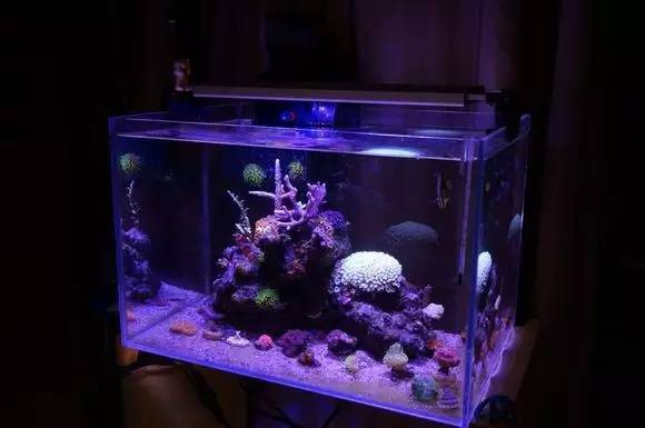 玩的真溜，三千玩出了三万的水平！