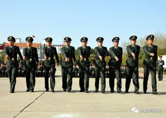 新兵连变化图片,变化太大惊呆众人