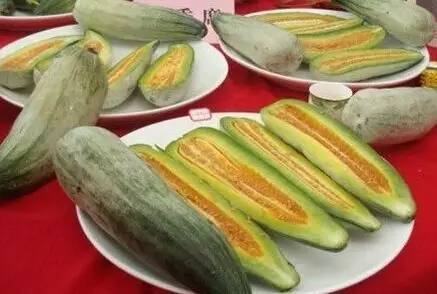 历届淮南春晚,淮南市2016年少儿春晚