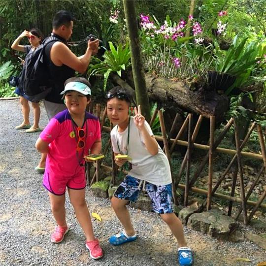 一篇旅游的游记,三亚亲子游全攻略自由行