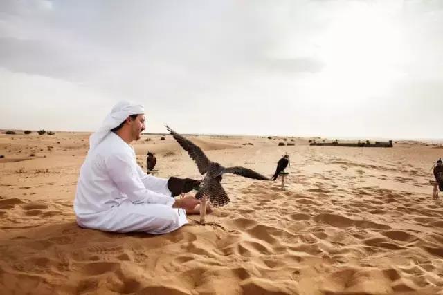 迪拜王子开车去沙漠越野,沙漠越野迪拜沙漠汽车赛