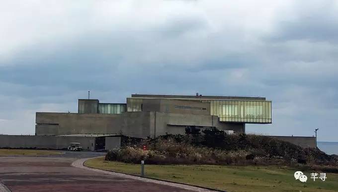 不止免签和免税店，还有各家爱豆，都在喊你去济州岛办婚礼！