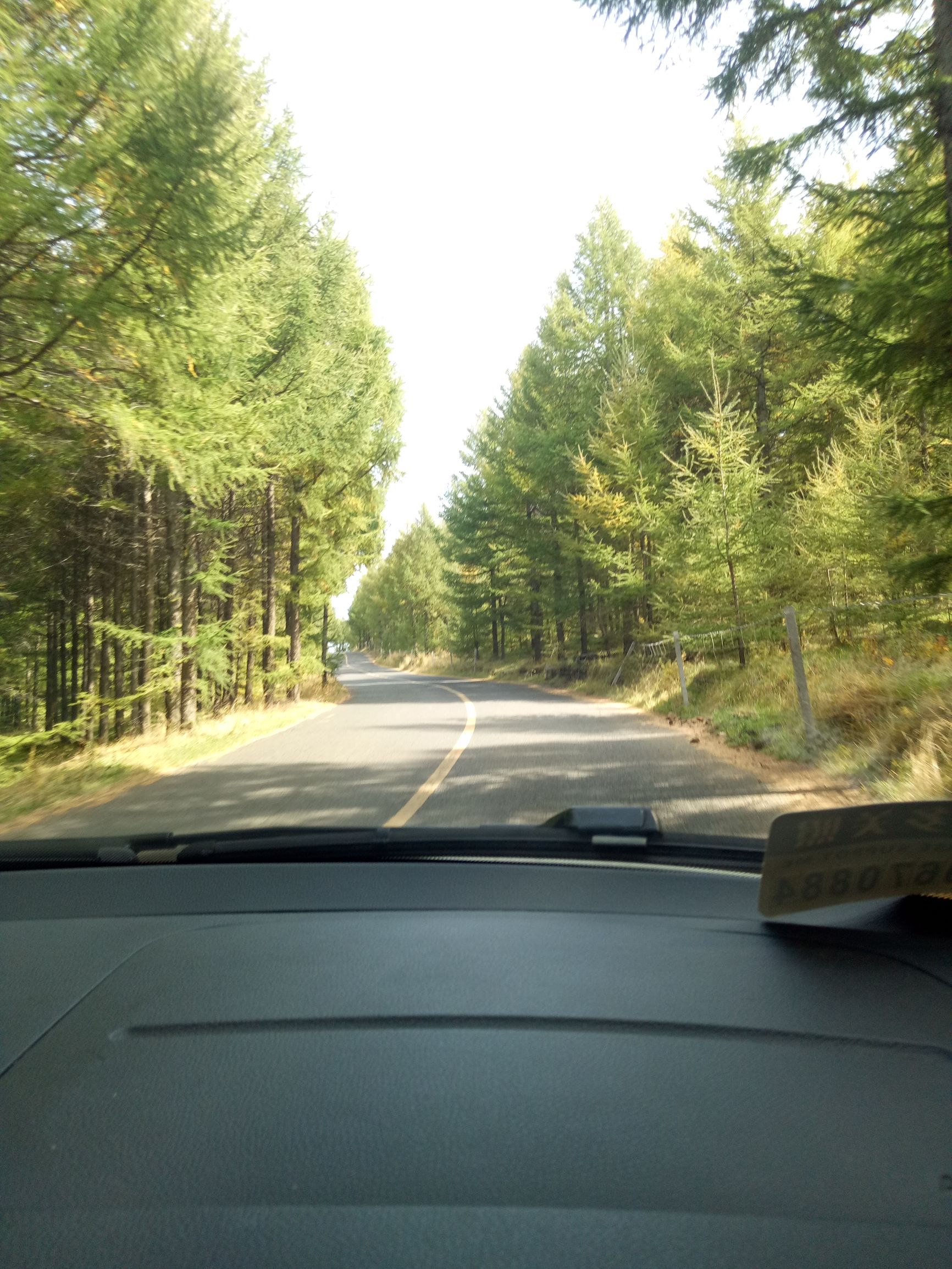 张北的草原天路之旅,张北天路攻略