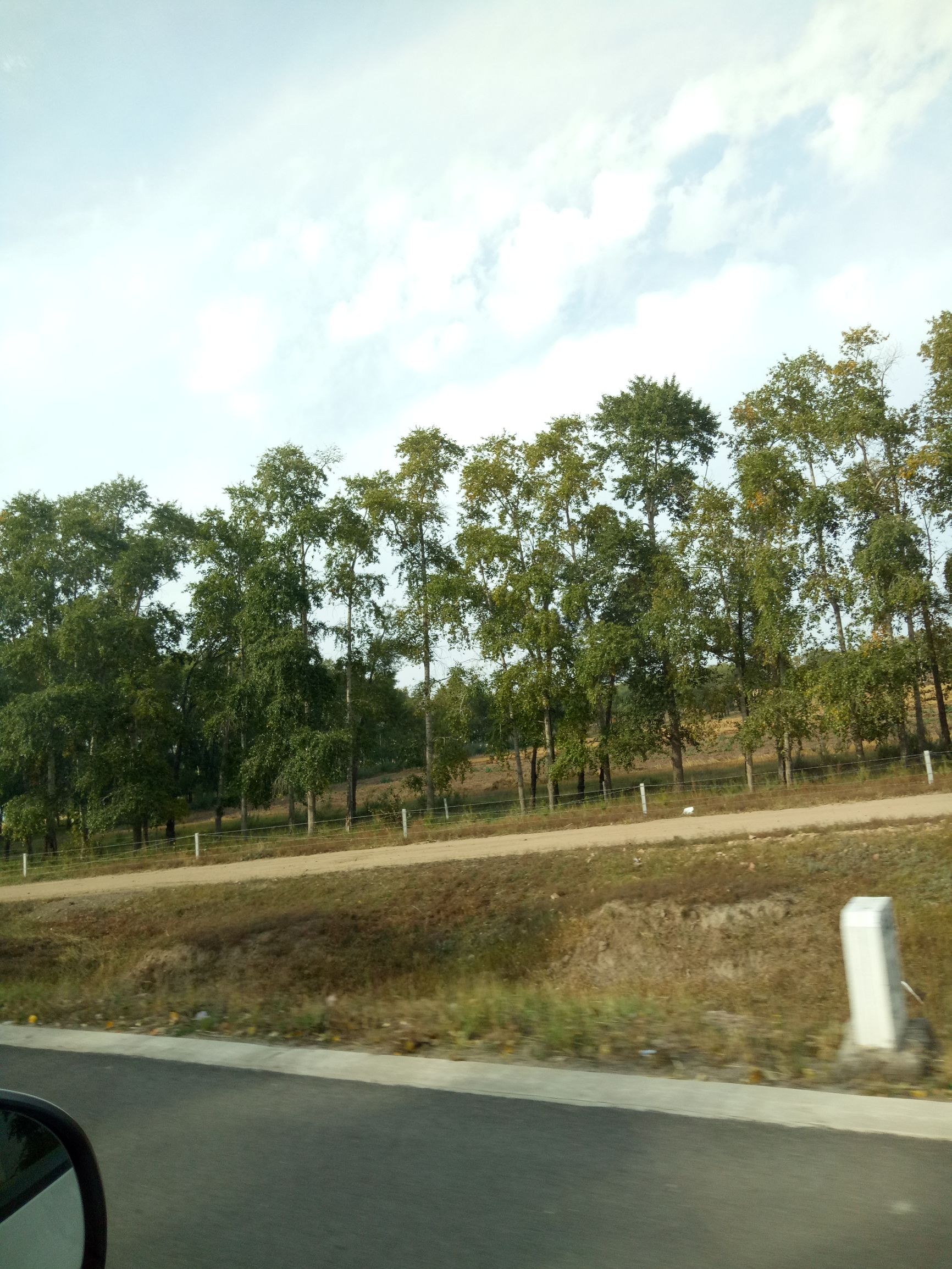 张北的草原天路之旅,张北天路攻略