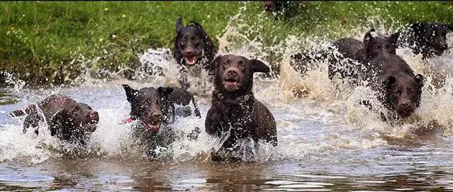 0-3岁幼儿启蒙好玩绘本阅读,0-3岁儿童必读绘本立体