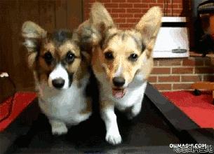 天气转凉会诱发青光眼吗,眼睛受寒会引起青光眼吗