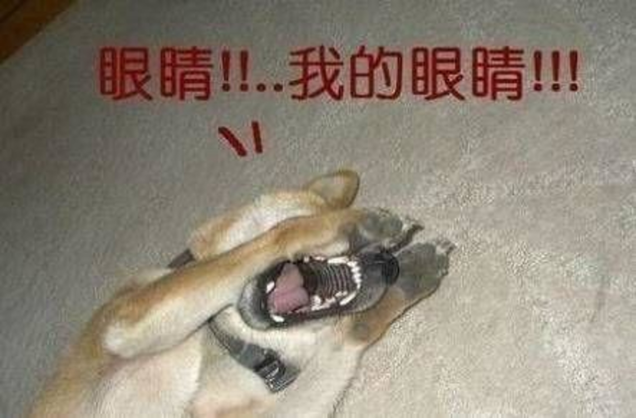 强光手电对付后车远光灯,小圆镜贴车尾对付远光狗效果如何