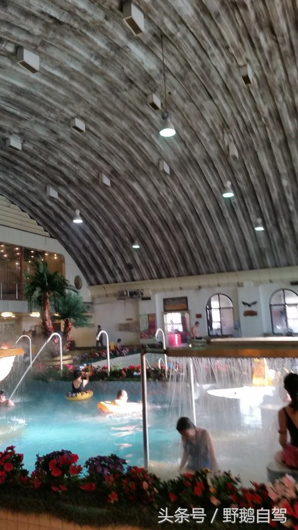 野鹅自驾红井路,野鹅自驾游最新视频