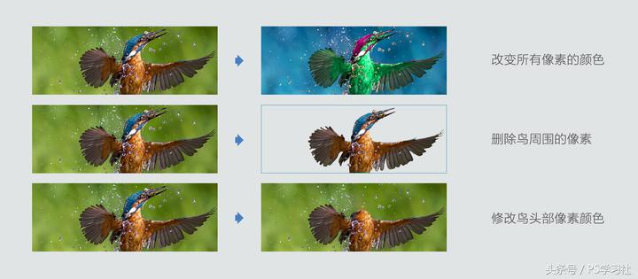 ps基础教程新手入门,苹果版ps基础教程新手入门