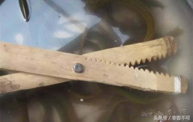 农村大叔用这个土方法，一晚上抓好几十斤黄鳝