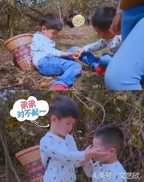 爱安吉做任务是真的吗,爱安吉是什么