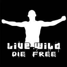 足球流氓英国,英国足球流氓被俄罗斯揍