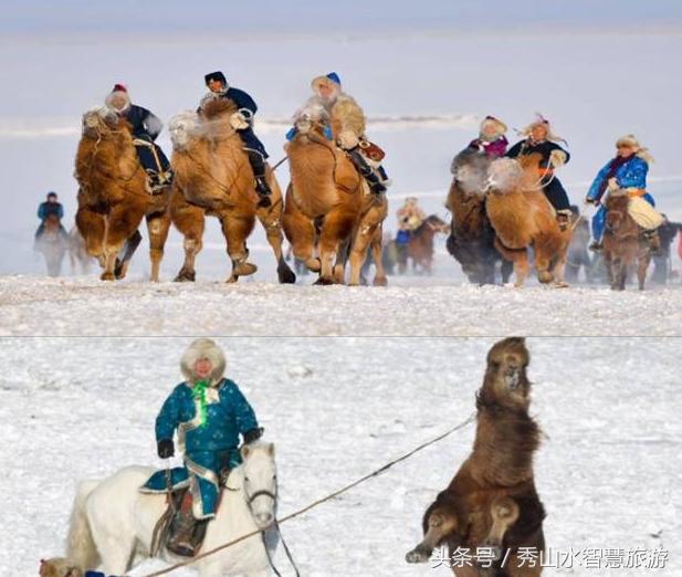 草原冬季那达慕开幕式,草原那达慕滑雪摄影
