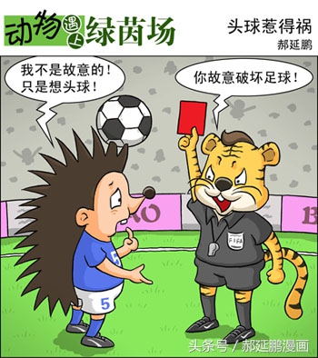 爆笑动物足球赛视频,动物足球大赛搞笑漫画